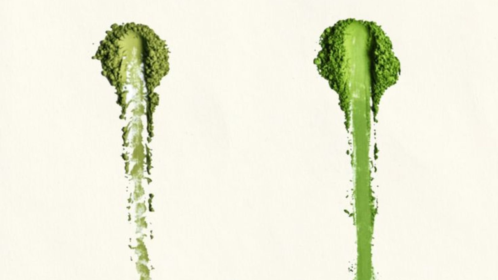 Fresh versus faded matcha powder color Two scoops of matcha powder side by side: fresh vivid jade green beside dull olive powder faded after long storage